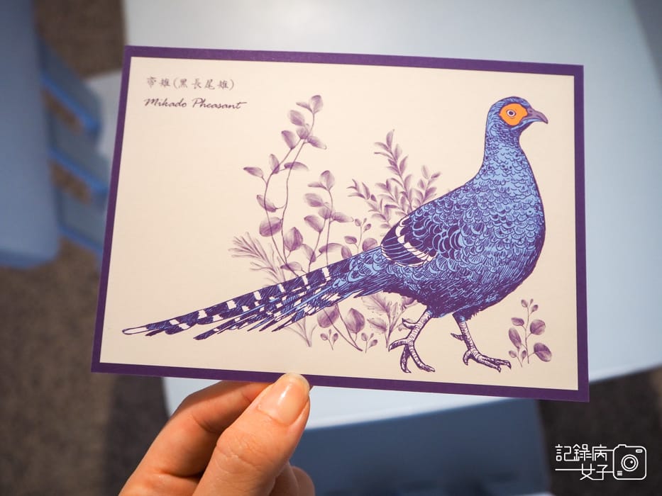 郵政博物館 翩翩飛羽映像 超美鳥類郵票特展4.jpg 郵政博物館 翩翩飛羽映像 超美鳥類郵票特展4.jpg