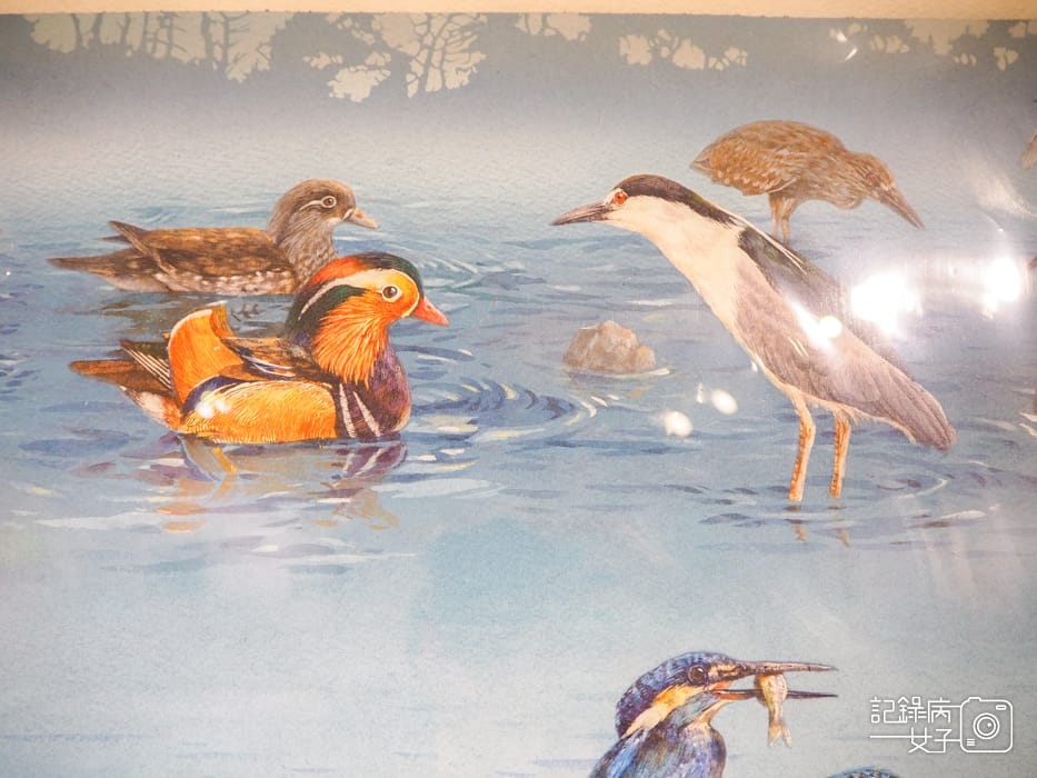 郵政博物館 翩翩飛羽映像 超美鳥類郵票特展50.jpg 郵政博物館 翩翩飛羽映像 超美鳥類郵票特展50.jpg