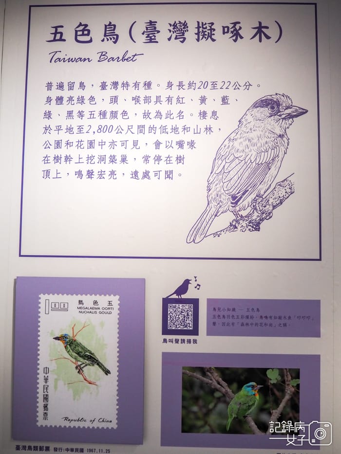 郵政博物館 翩翩飛羽映像 超美鳥類郵票特展16.jpg 郵政博物館 翩翩飛羽映像 超美鳥類郵票特展16.jpg