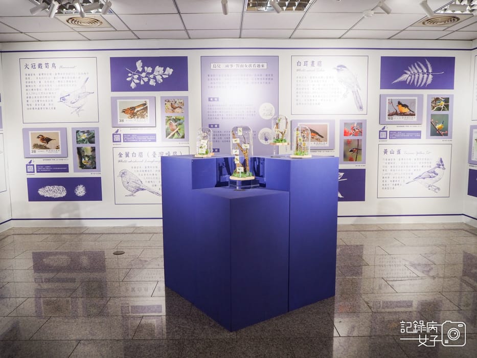 郵政博物館 翩翩飛羽映像 超美鳥類郵票特展13.jpg 郵政博物館 翩翩飛羽映像 超美鳥類郵票特展13.jpg