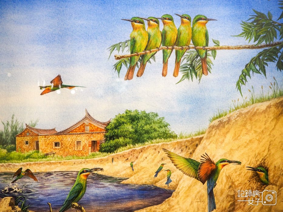 郵政博物館 翩翩飛羽映像 超美鳥類郵票特展52.jpg 郵政博物館 翩翩飛羽映像 超美鳥類郵票特展52.jpg