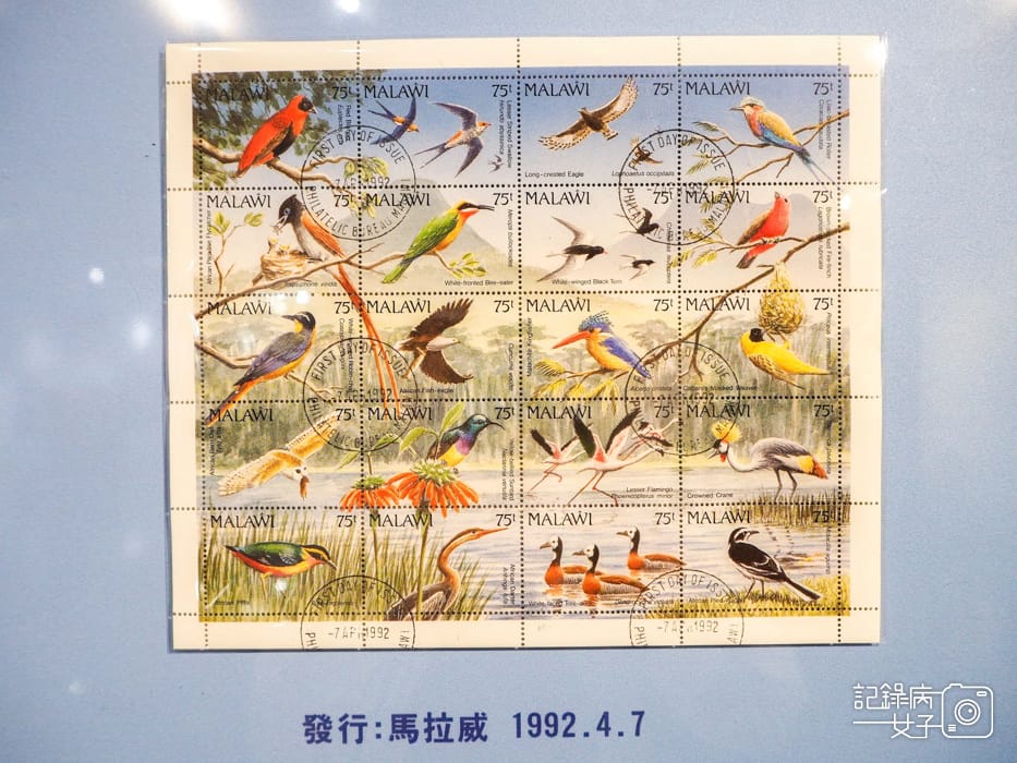 郵政博物館 翩翩飛羽映像 超美鳥類郵票特展40.jpg 郵政博物館 翩翩飛羽映像 超美鳥類郵票特展40.jpg