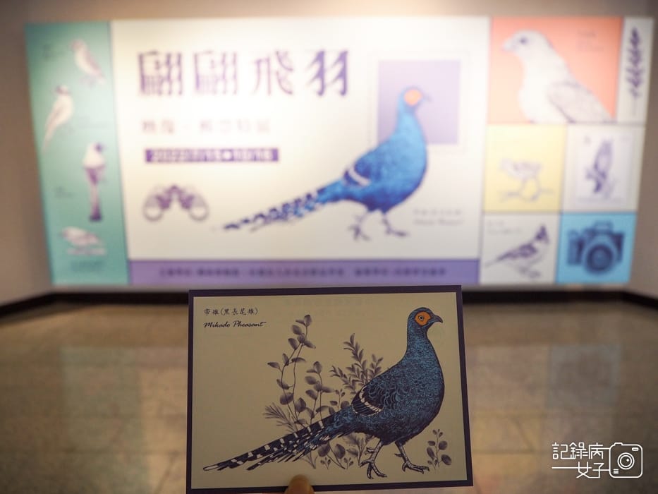 郵政博物館 翩翩飛羽映像 超美鳥類郵票特展2.jpg 郵政博物館 翩翩飛羽映像 超美鳥類郵票特展2.jpg
