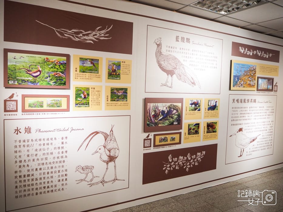 郵政博物館 翩翩飛羽映像 超美鳥類郵票特展34.jpg 郵政博物館 翩翩飛羽映像 超美鳥類郵票特展34.jpg
