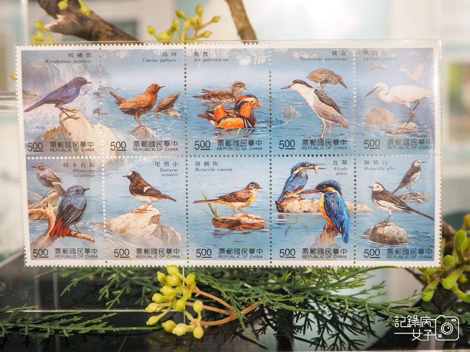 郵政博物館 翩翩飛羽映像 超美鳥類郵票特展20.jpg 郵政博物館 翩翩飛羽映像 超美鳥類郵票特展20.jpg