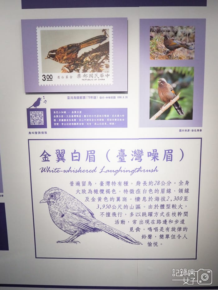 郵政博物館 翩翩飛羽映像 超美鳥類郵票特展17.jpg 郵政博物館 翩翩飛羽映像 超美鳥類郵票特展17.jpg