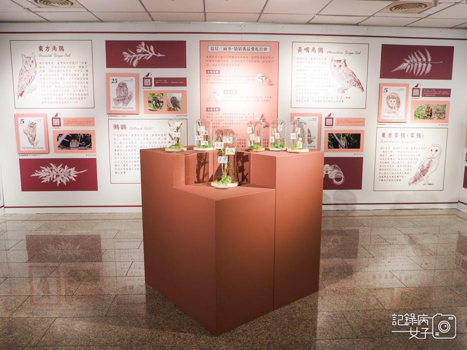 郵政博物館 翩翩飛羽映像 超美鳥類郵票特展25.jpg 郵政博物館 翩翩飛羽映像 超美鳥類郵票特展25.jpg