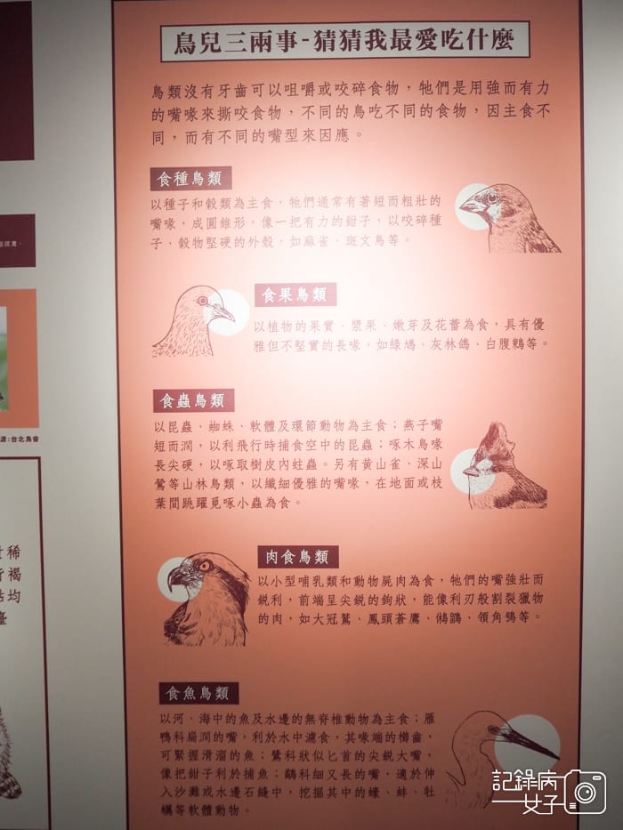 郵政博物館 翩翩飛羽映像 超美鳥類郵票特展47.jpg 郵政博物館 翩翩飛羽映像 超美鳥類郵票特展47.jpg