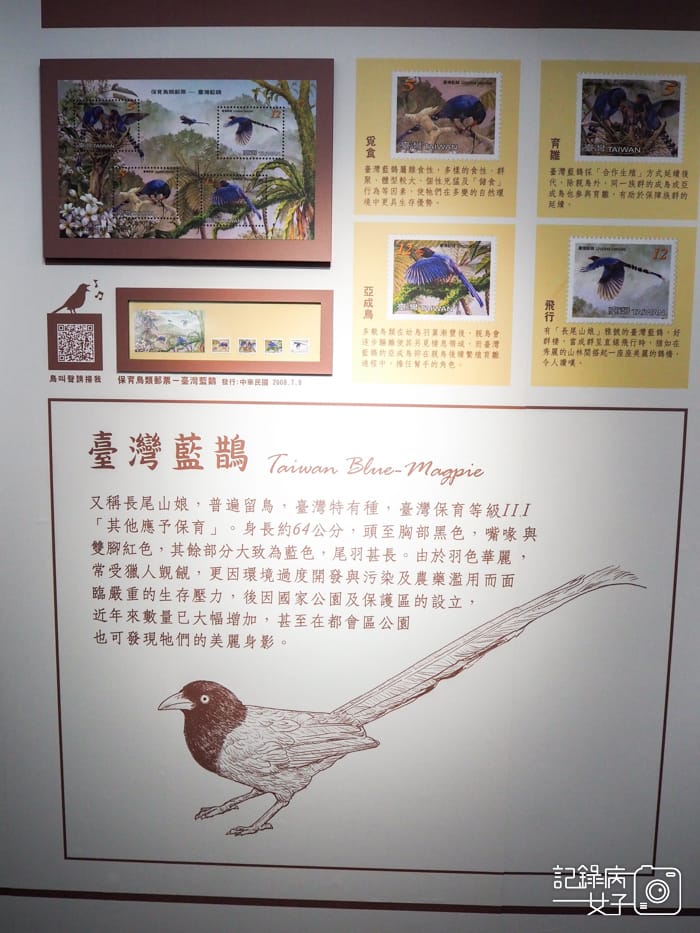 郵政博物館 翩翩飛羽映像 超美鳥類郵票特展36.jpg 郵政博物館 翩翩飛羽映像 超美鳥類郵票特展36.jpg