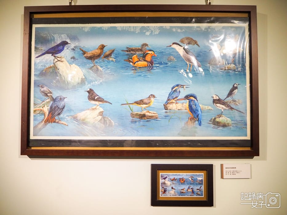 郵政博物館 翩翩飛羽映像 超美鳥類郵票特展48.jpg 郵政博物館 翩翩飛羽映像 超美鳥類郵票特展48.jpg