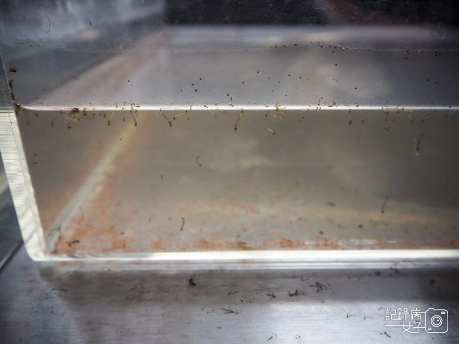 台北當代藝術館x轉接器展x唸塵 王鼎曄個展23.jpg 台北當代藝術館x轉接器展x唸塵 王鼎曄個展23.jpg