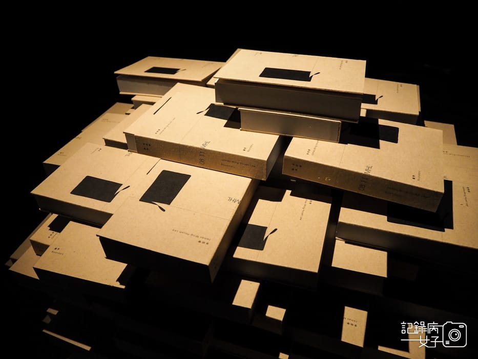 台北當代藝術館x轉接器展x唸塵 王鼎曄個展10.jpg 台北當代藝術館x轉接器展x唸塵 王鼎曄個展10.jpg