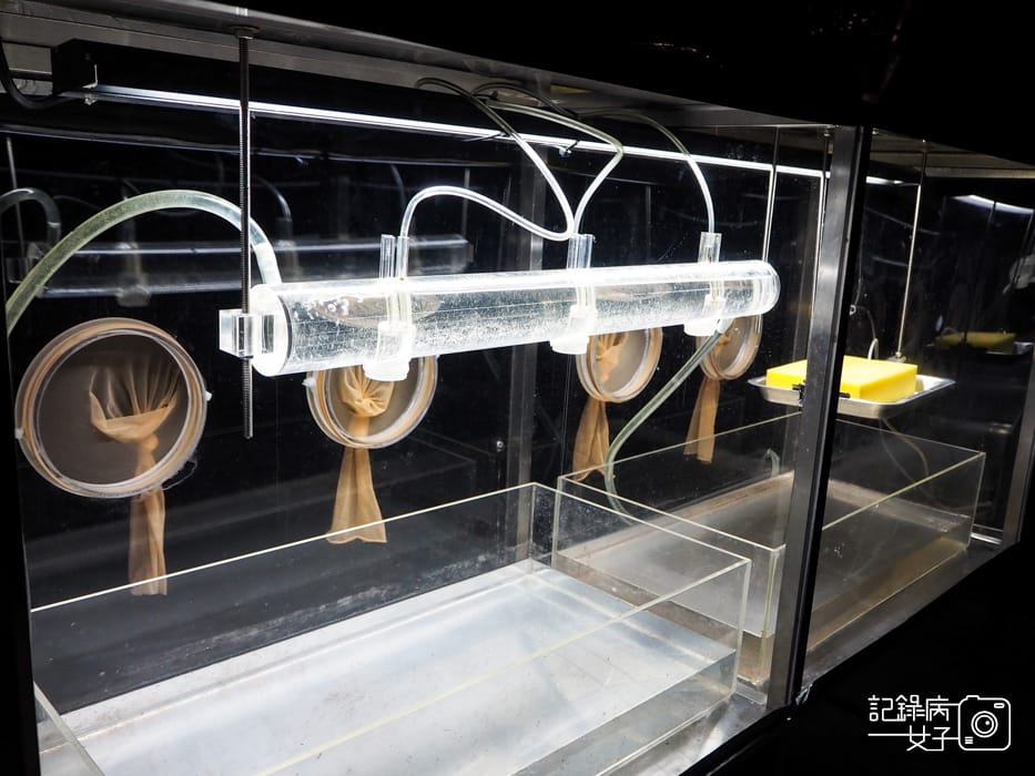 台北當代藝術館x轉接器展x唸塵 王鼎曄個展17.jpg 台北當代藝術館x轉接器展x唸塵 王鼎曄個展17.jpg