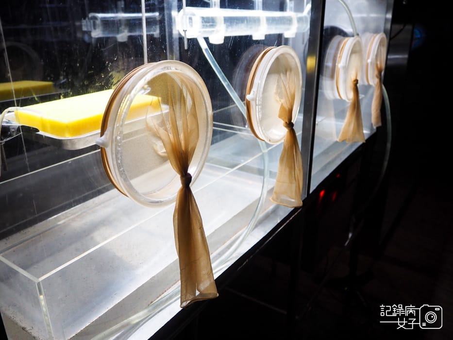 台北當代藝術館x轉接器展x唸塵 王鼎曄個展19.jpg 台北當代藝術館x轉接器展x唸塵 王鼎曄個展19.jpg