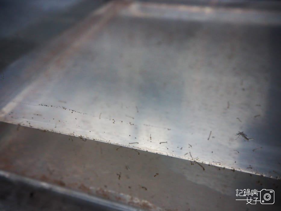 台北當代藝術館x轉接器展x唸塵 王鼎曄個展22.jpg 台北當代藝術館x轉接器展x唸塵 王鼎曄個展22.jpg