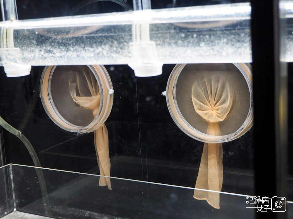 台北當代藝術館x轉接器展x唸塵 王鼎曄個展18.jpg 台北當代藝術館x轉接器展x唸塵 王鼎曄個展18.jpg