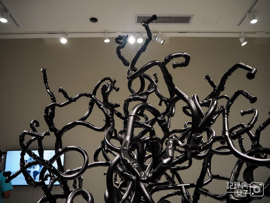 臺北市立美術館在夾縫中行走特展28.jpg 臺北市立美術館在夾縫中行走特展28.jpg