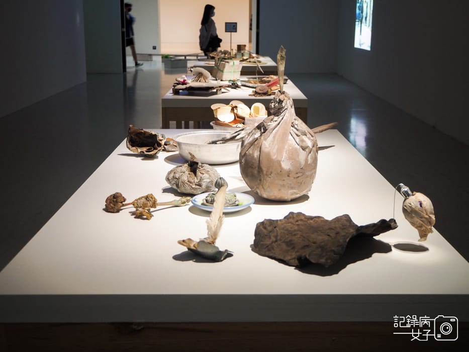 臺北市立美術館在夾縫中行走特展15.jpg 臺北市立美術館在夾縫中行走特展15.jpg