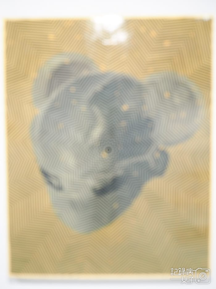 臺北市立美術館在夾縫中行走特展10.jpg 臺北市立美術館在夾縫中行走特展10.jpg