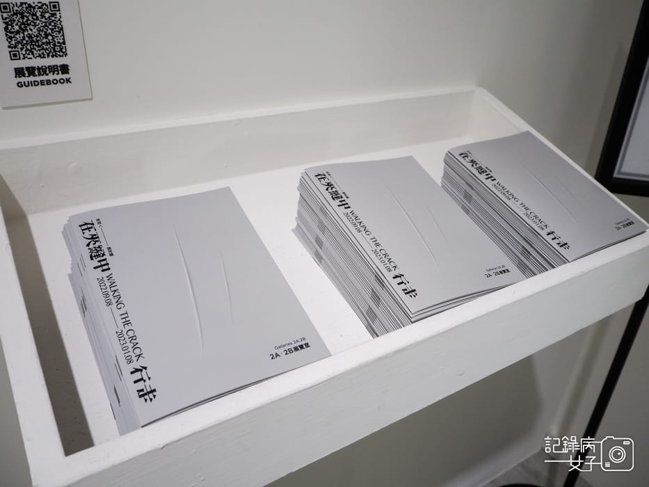 臺北市立美術館在夾縫中行走特展4.jpg 臺北市立美術館在夾縫中行走特展4.jpg