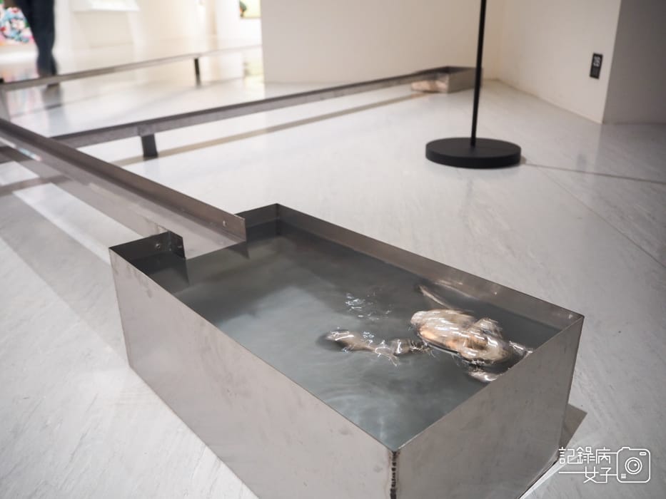 臺北市立美術館在夾縫中行走特展22.jpg 臺北市立美術館在夾縫中行走特展22.jpg