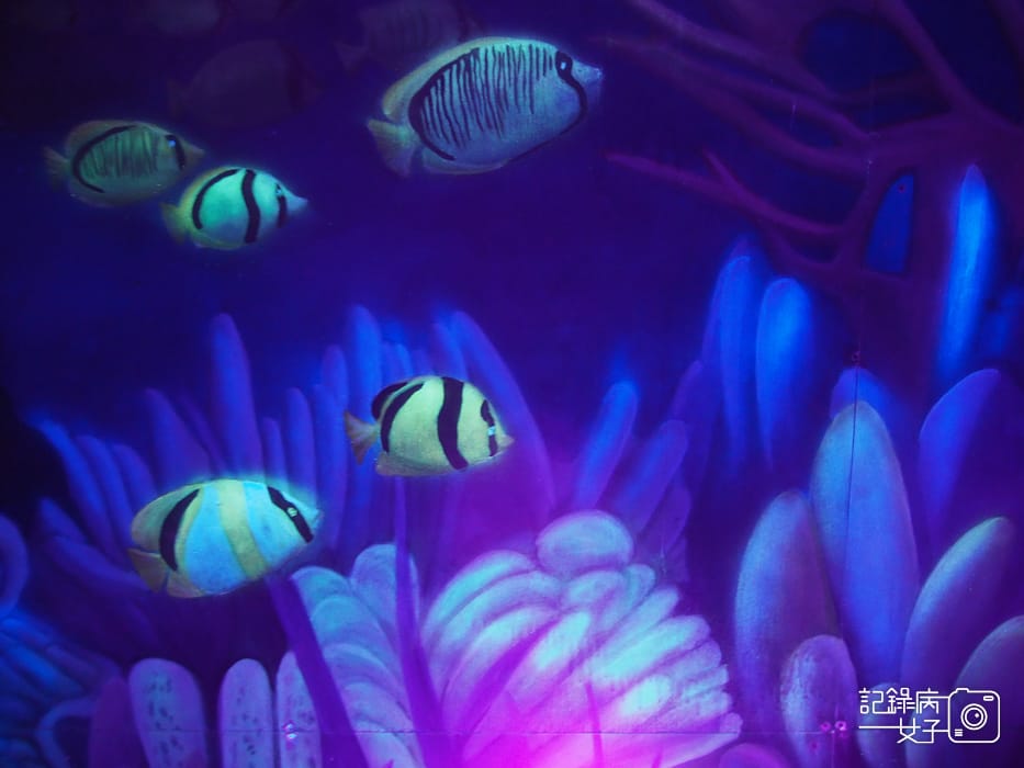 宜蘭蘇澳台東舊鐵道蘇東隧道x雙效夜光海洋世界塗鴉23.jpg 宜蘭蘇澳台東舊鐵道蘇東隧道x雙效夜光海洋世界塗鴉23.jpg