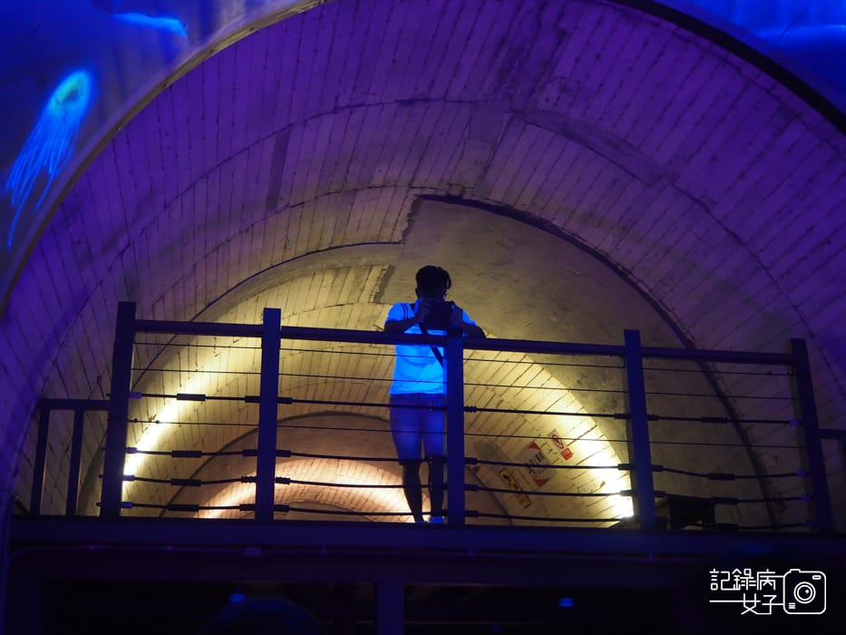 宜蘭蘇澳台東舊鐵道蘇東隧道x雙效夜光海洋世界塗鴉26.jpg 宜蘭蘇澳台東舊鐵道蘇東隧道x雙效夜光海洋世界塗鴉26.jpg