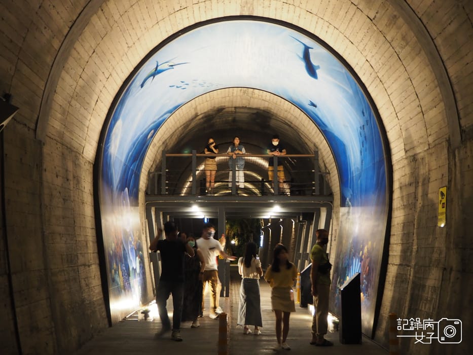 宜蘭蘇澳台東舊鐵道蘇東隧道x雙效夜光海洋世界塗鴉12.jpg 宜蘭蘇澳台東舊鐵道蘇東隧道x雙效夜光海洋世界塗鴉12.jpg