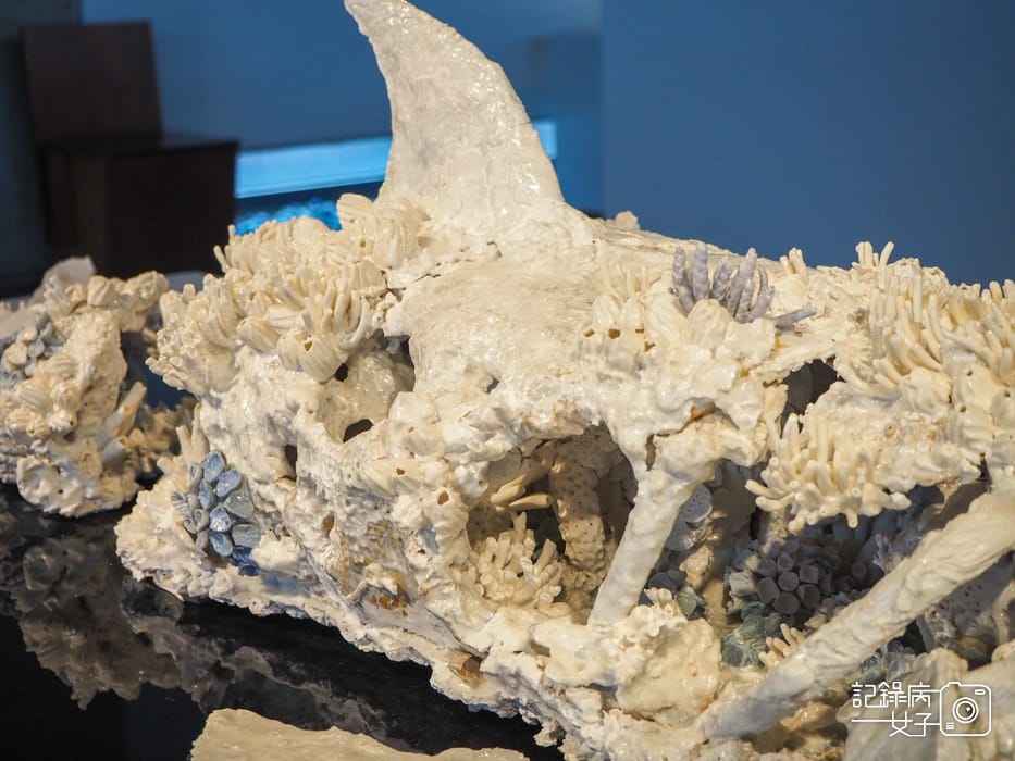 新北市立鶯歌陶瓷博物館 x 鶯歌老街67.jpg 新北市立鶯歌陶瓷博物館 x 鶯歌老街67.jpg