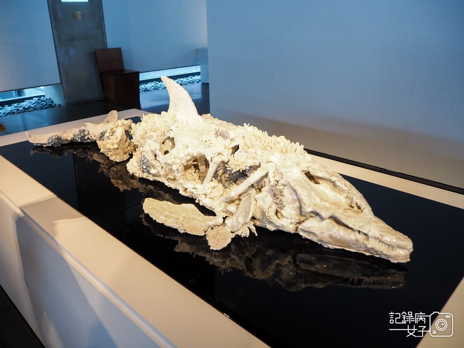 新北市立鶯歌陶瓷博物館 x 鶯歌老街66.jpg 新北市立鶯歌陶瓷博物館 x 鶯歌老街66.jpg