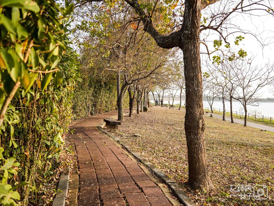 阿公店水庫 岡山燕巢夕陽散步自行車的悠閒好去處19.jpg 阿公店水庫 岡山燕巢夕陽散步自行車的悠閒好去處19.jpg