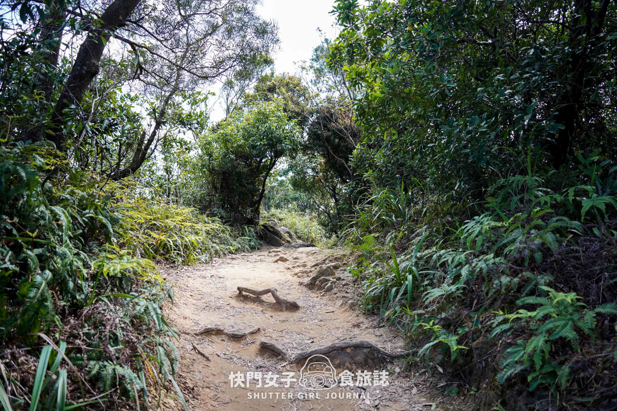 【金面山】內湖金面山大岩壁 x 人氣網美打卡剪刀石 - 第30張圖 【金面山】內湖金面山大岩壁 x 人氣網美打卡剪刀石