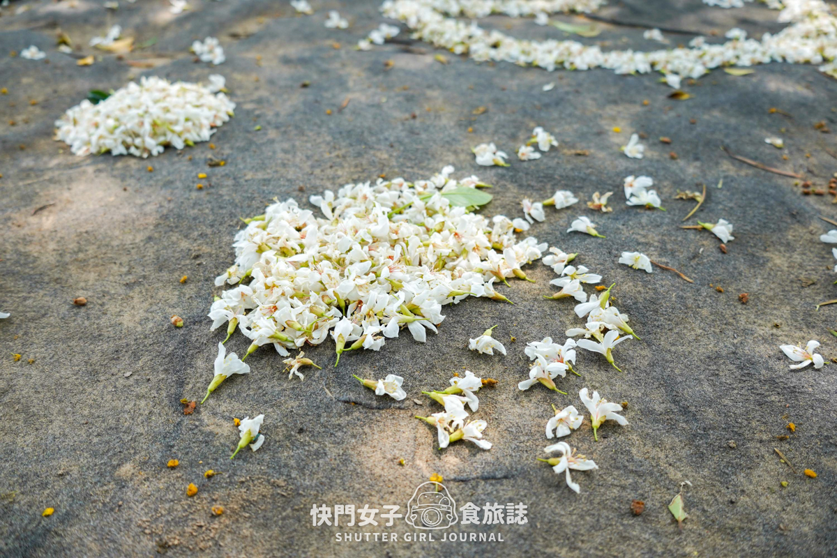 【金面山】內湖金面山大岩壁 x 人氣網美打卡剪刀石 - 第76張圖 【金面山】內湖金面山大岩壁 x 人氣網美打卡剪刀石