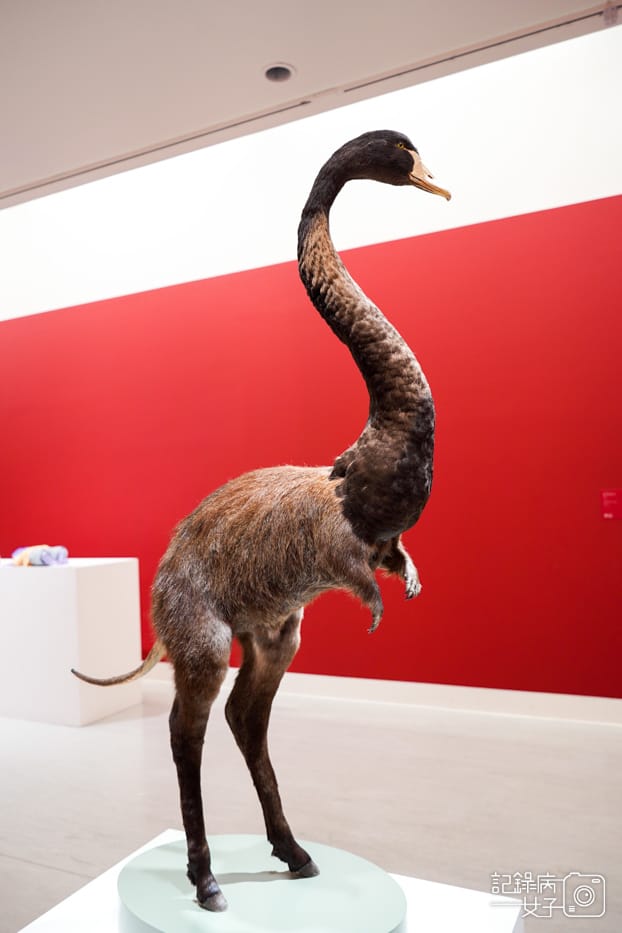 5台北市立美術館 未來身體 超自然雕塑 超寫實超現實蠟像.jpg