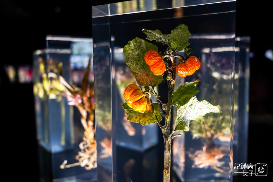 21忠泰樂生活NOKE 東信展繁花時敘展Azuma Makoto花卉壓克力永生花.jpg