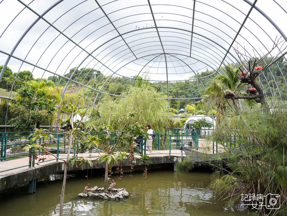 45南投九九峰動物樂園jojozoo九九峰鳥園九九峰鸚鵡可愛動物水豚草泥馬.jpg