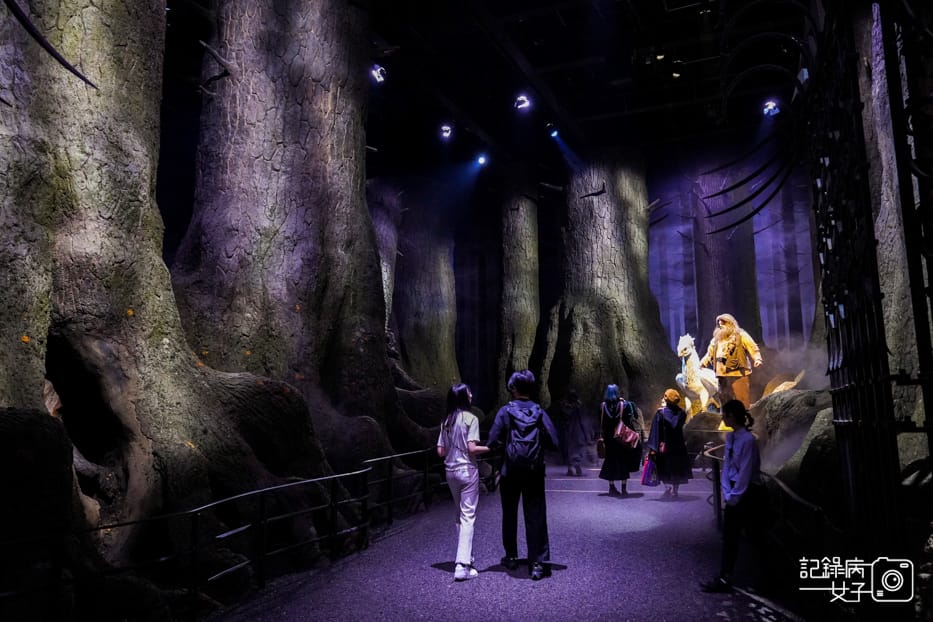 75日本東京練馬華納兄弟哈利波特影城禁忌森林.jpg