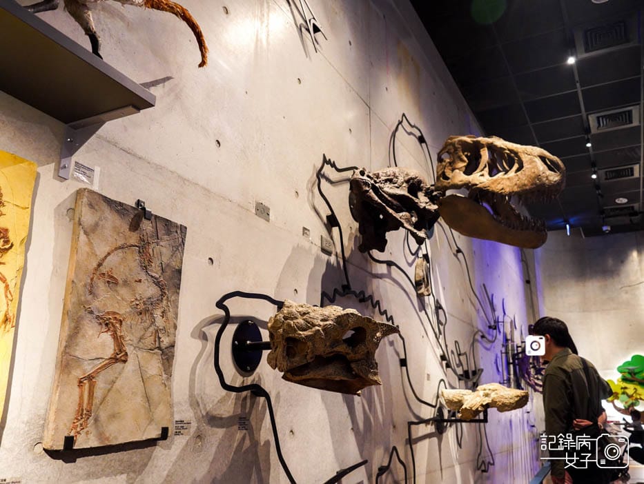 39臺南左鎮化石園區台南菜寮化石博物館左鎮恐龍台南博物館.jpg