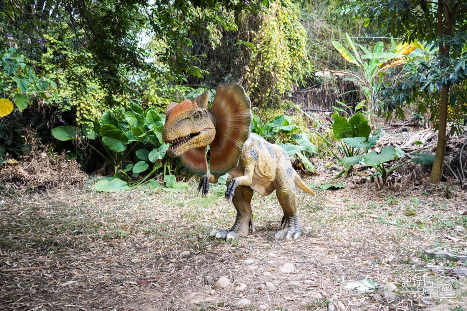19彰化員林百果山探索樂園侏羅紀恐龍園區.jpg 19彰化員林百果山探索樂園侏羅紀恐龍園區.jpg