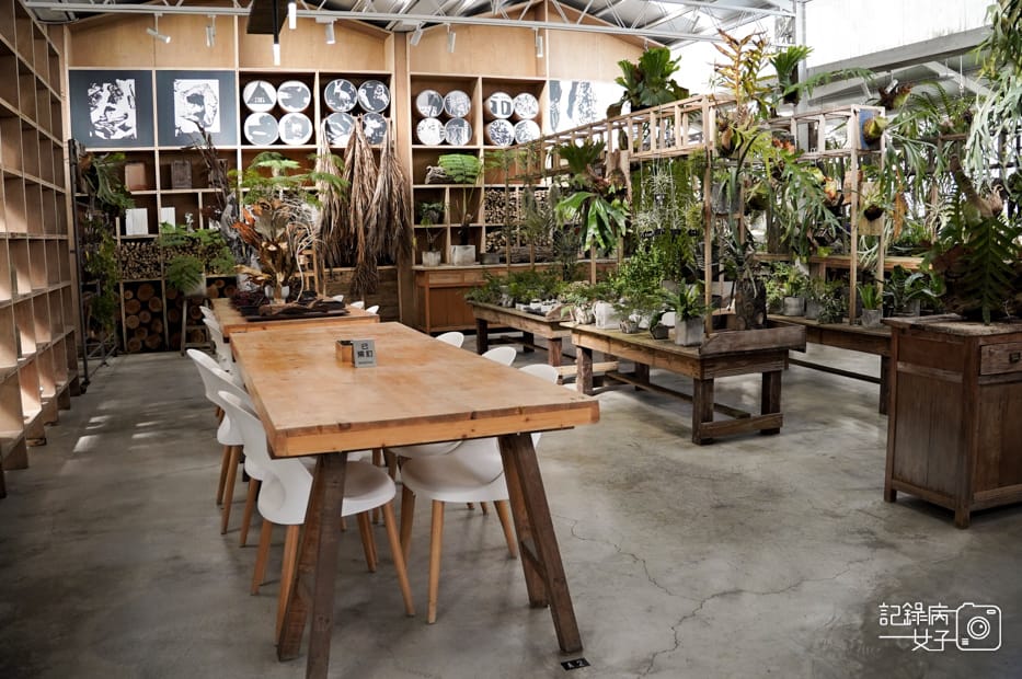 5嘉義梅山鄉空氣圖書館多肉植物文青餐廳.jpg