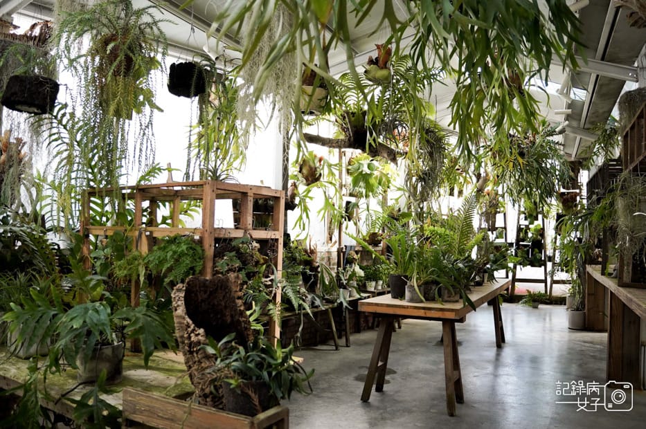 11嘉義梅山鄉空氣圖書館多肉植物文青餐廳.jpg