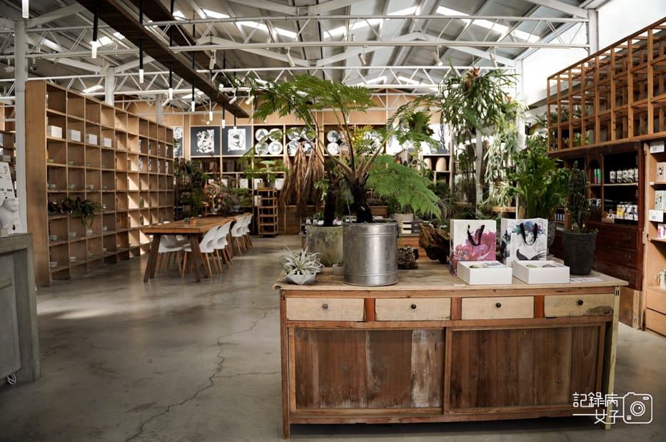 4嘉義梅山鄉空氣圖書館多肉植物文青餐廳.jpg