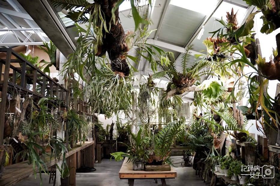 9嘉義梅山鄉空氣圖書館多肉植物文青餐廳.jpg