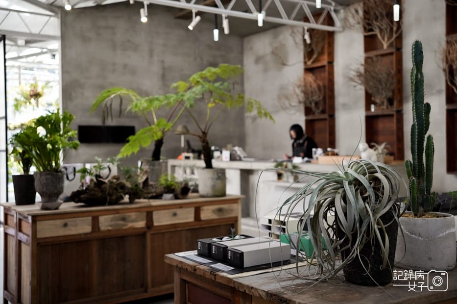 12嘉義梅山鄉空氣圖書館多肉植物文青餐廳.jpg