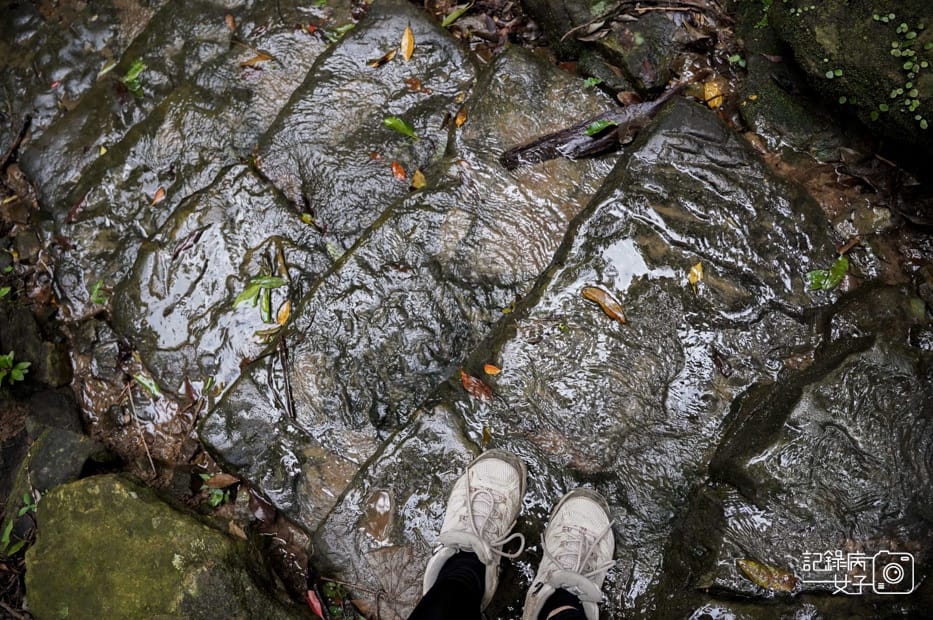 56台北內湖碧山巖鯉魚山小人國步道圓覺寺瀑布步道大溝溪親水公園.jpg 56台北內湖碧山巖鯉魚山小人國步道圓覺寺瀑布步道大溝溪親水公園.jpg