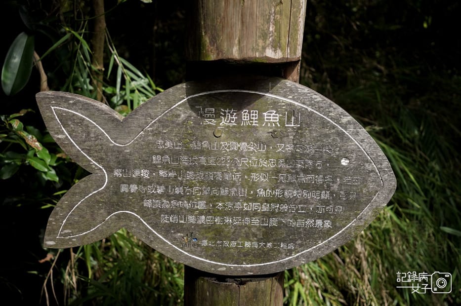 8台北內湖碧山巖鯉魚山小人國步道圓覺寺瀑布步道大溝溪親水公園.jpg 8台北內湖碧山巖鯉魚山小人國步道圓覺寺瀑布步道大溝溪親水公園.jpg