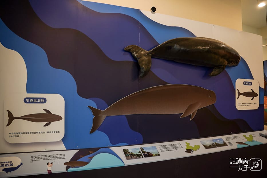 23馬祖北竿橋仔聚落芹壁聚落廟村橋仔魚村展示館.jpg 23馬祖北竿橋仔聚落芹壁聚落廟村橋仔魚村展示館.jpg