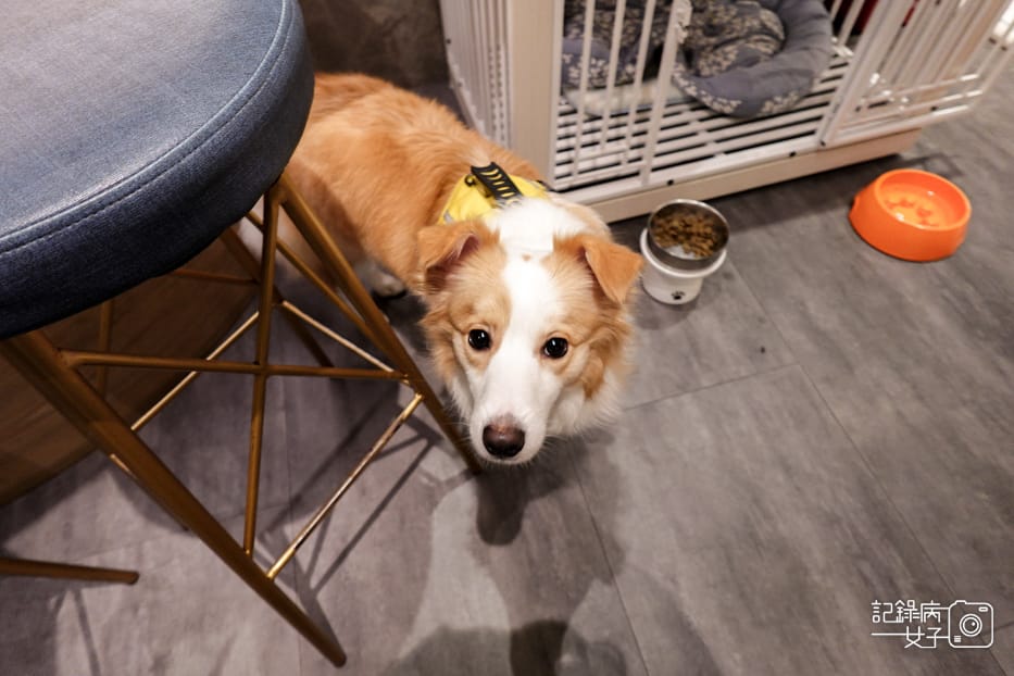 4新北桃園林口甜蒔吇舒芙蕾咖啡專賣巧克力抹茶舒芙蕾義大利麵.jpg 4新北桃園林口甜蒔吇舒芙蕾咖啡專賣巧克力抹茶舒芙蕾義大利麵.jpg