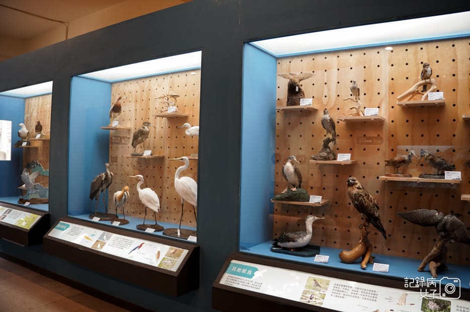 21馬祖北竿橋仔聚落芹壁聚落廟村橋仔魚村展示館.jpg 21馬祖北竿橋仔聚落芹壁聚落廟村橋仔魚村展示館.jpg