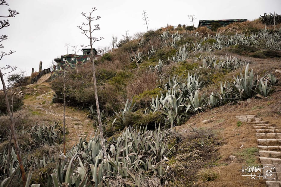 10馬祖北竿螺蚌山自然步道壁山觀景臺戰爭和平紀念館北竿機場獅嶼.jpg 10馬祖北竿螺蚌山自然步道壁山觀景臺戰爭和平紀念館北竿機場獅嶼.jpg